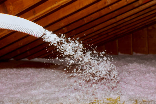 Best Commercial Insulation Contractor  in Caldwell, TX
