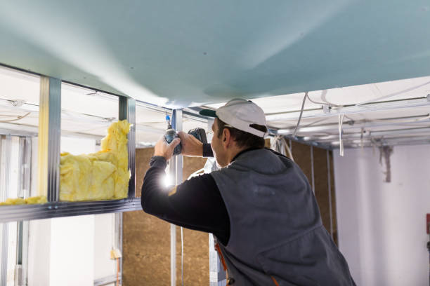 Best Insulation Replacement Services  in Caldwell, TX