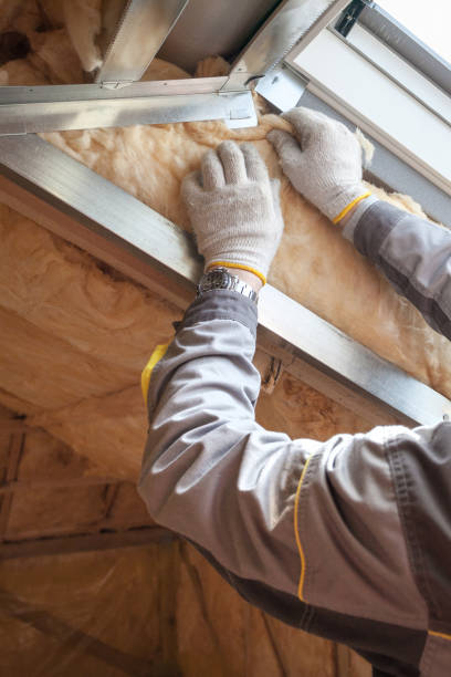Best Insulation Replacement Services  in Caldwell, TX