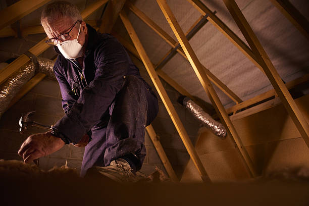 Best Professional Insulation Contractor  in Caldwell, TX