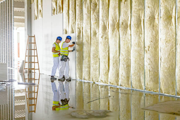 Best Insulation Removal Services  in Caldwell, TX